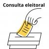 consulta eleitoral