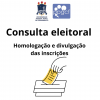 consulta eleitoral